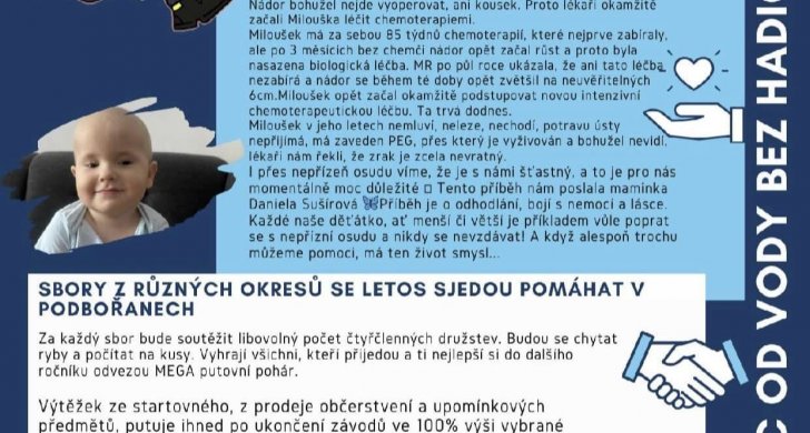 Hasime šupinou.jpg